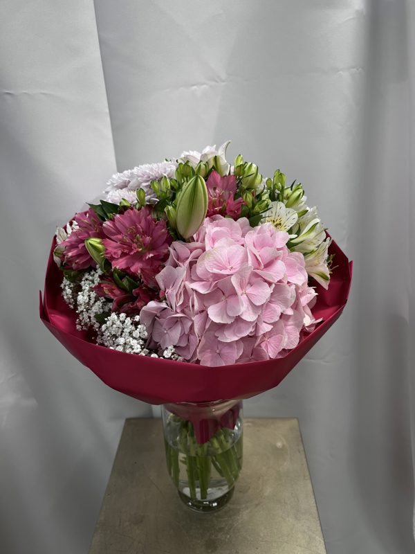 Kytica Pink