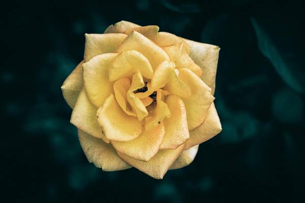 Test2