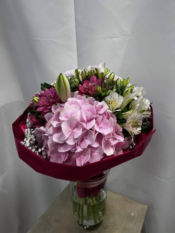 Kytica Pink