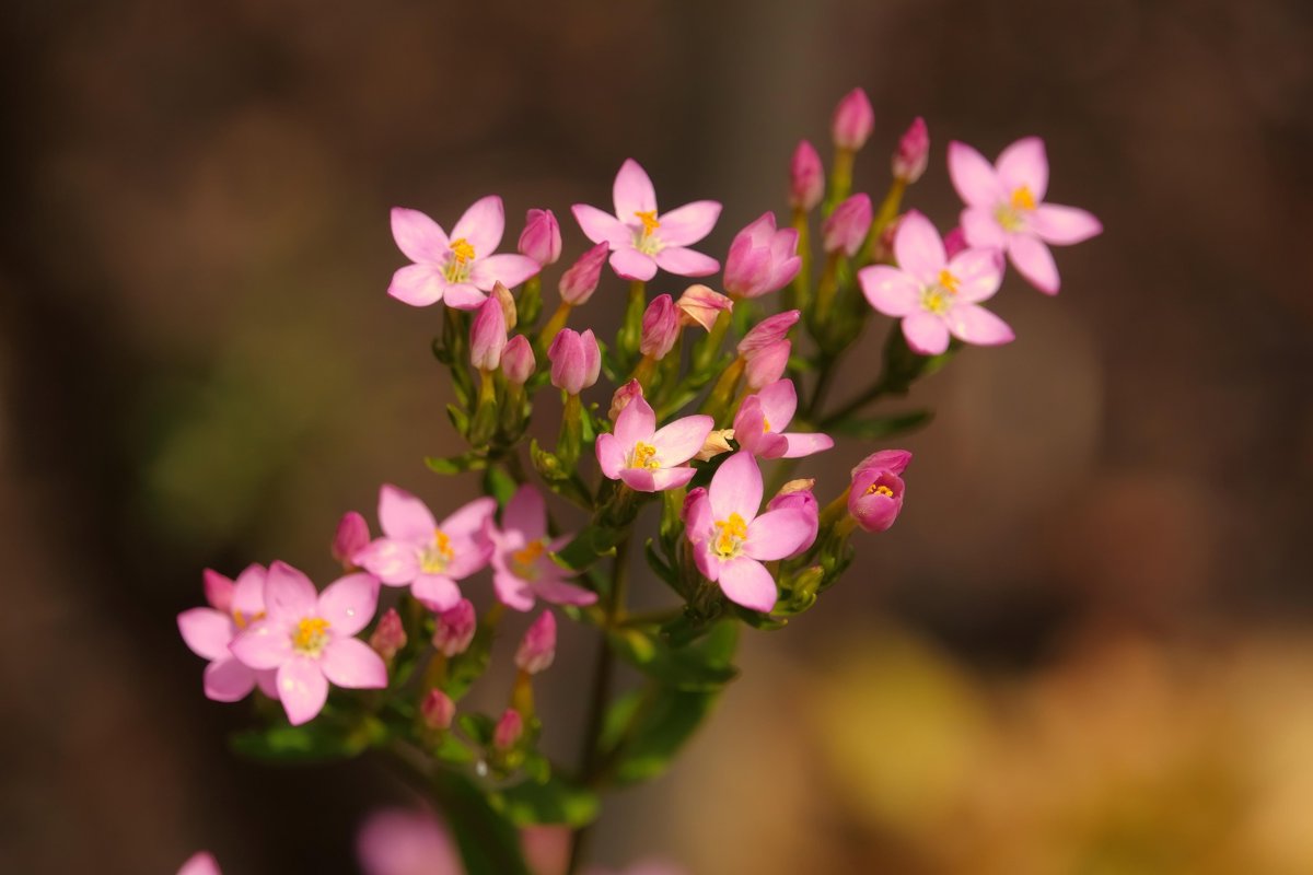 Test4