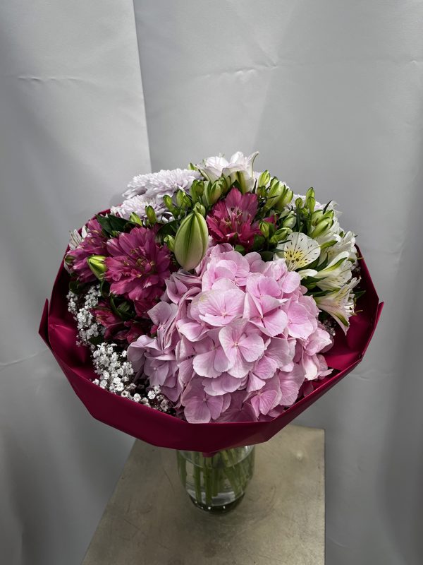 Kytica Pink